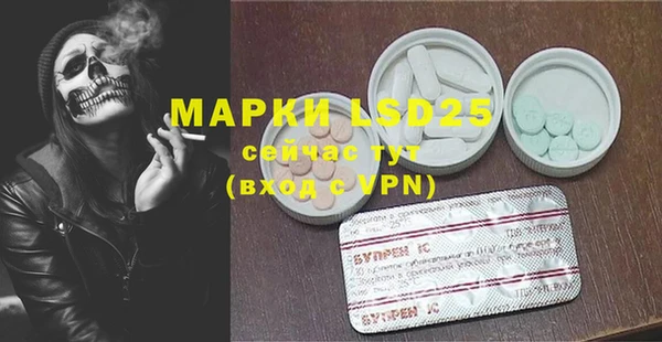 круглые Алзамай