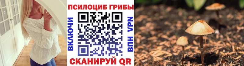 Псилоцибиновые грибы мухоморы  Купить где  Ясный 